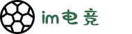 IM(股份有限公司)电竞-电子竞技平台